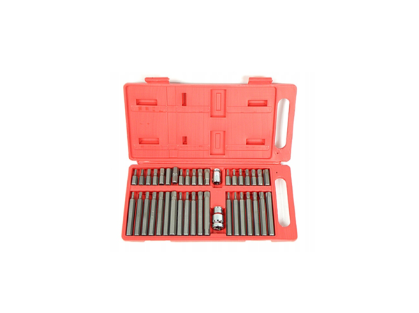Picture of Set chei torx, 40 elemente, Expert 10631
